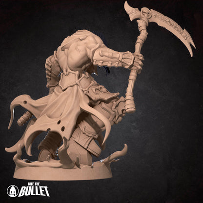 Death Bringer Warrior