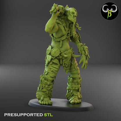 CB - Giant Lord - Peak Wanderer - Giant Warrior - 2