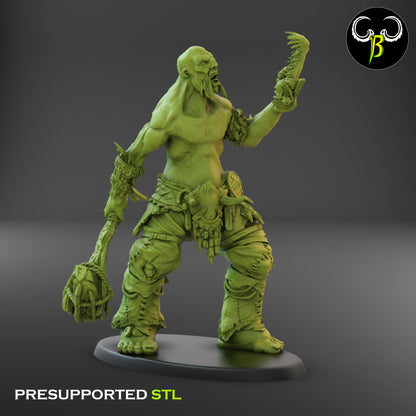 CB - Giant Lord - Peak Wanderer - Giant Warrior - 5