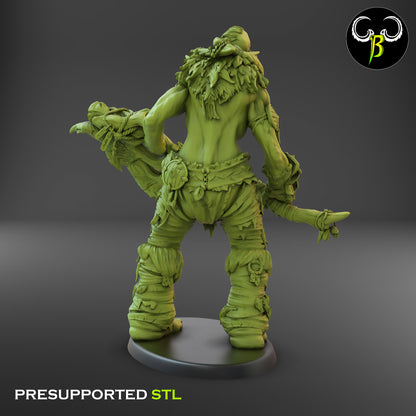 CB - Giant Lord - Peak Wanderer - Giant Warrior - 6