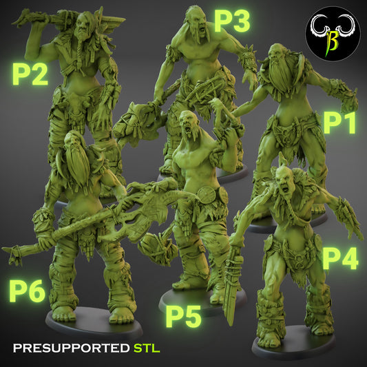 Peak Wanderer - Giant Warriors 3 Pack Pick em