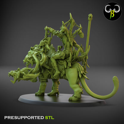 CB Troll Head Hunters - Remo'jai - Troll Shaman