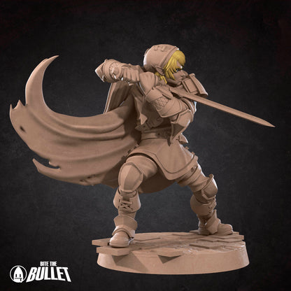 Male Elf Fighter - Rinku