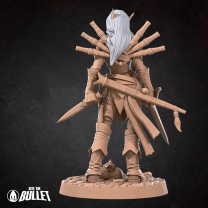 Drow Rogue