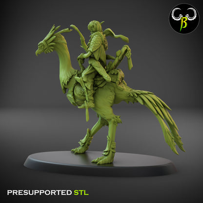 CB  Sand Runner Lance - Bird Rider - Archer 2