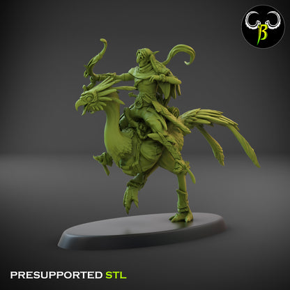CB  Sand Runner Lance - Bird Rider - Archer 4