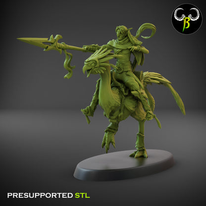 CB  Sand Runner Lance - Bird Rider - 4