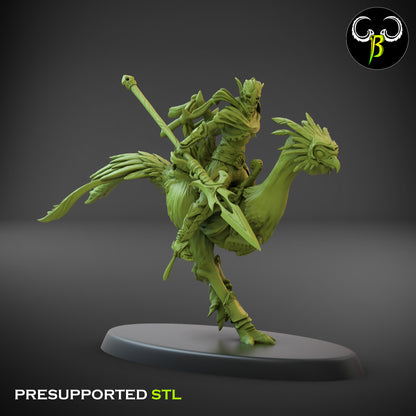 CB  Sand Runner Lance - Bird Rider - 5