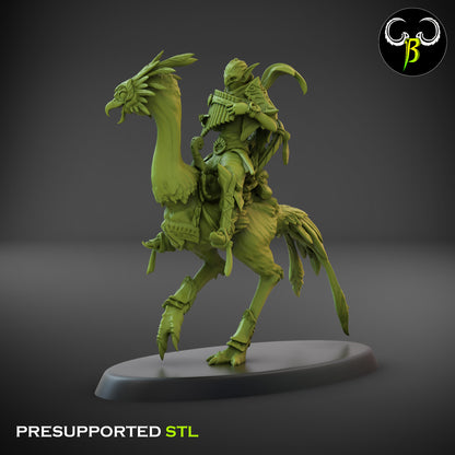 CB  Sand Runner Lance - Bird Rider - Musician