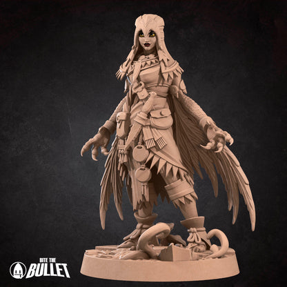 Female Harpy Warrior