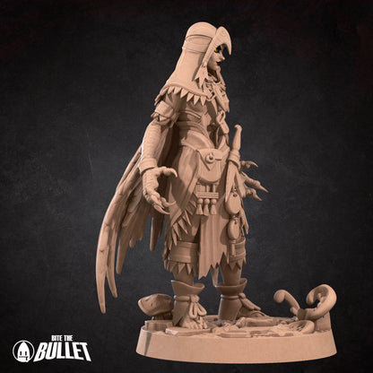 Female Harpy Warrior
