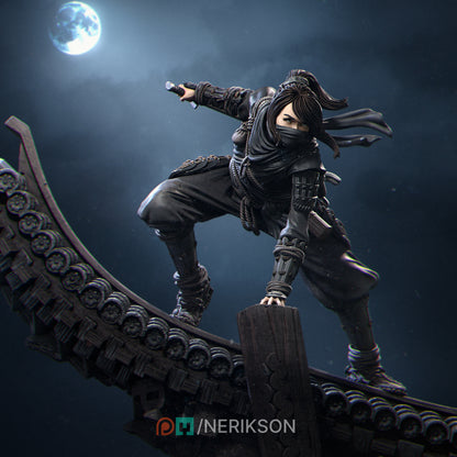 Shizuka - Female Ninja Warrior