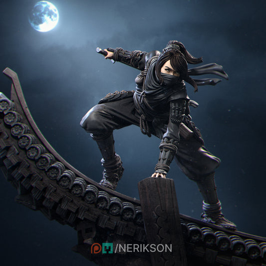 Shizuka - Female Ninja Warrior
