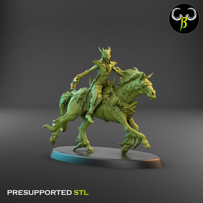 Mounted Silk Cabalist Bundle