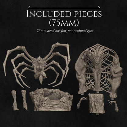 Wicked Spider Queen