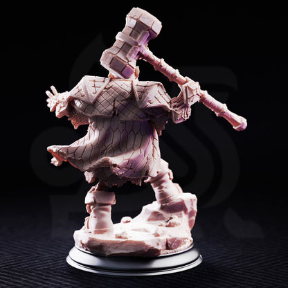 Sook, The Undead Dwarven Warrior