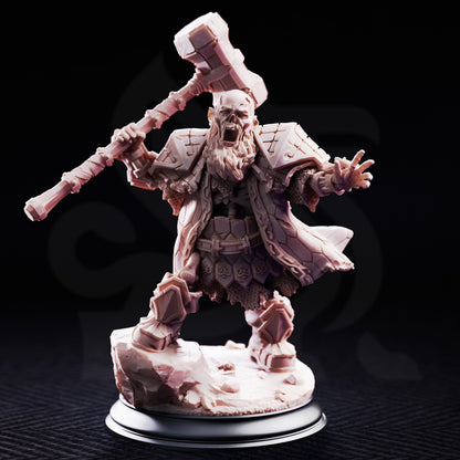 Sook, The Undead Dwarven Warrior