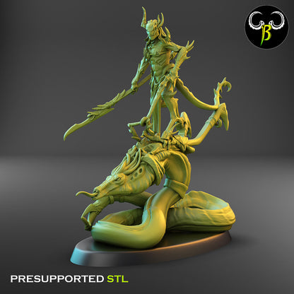 Male Soul Reaver - Mounted - Full Pack