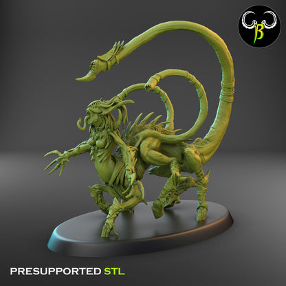 CB Spawn of Depravity - Female Champion