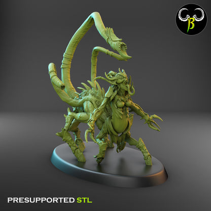 CB Spawn of Depravity - Female Champion