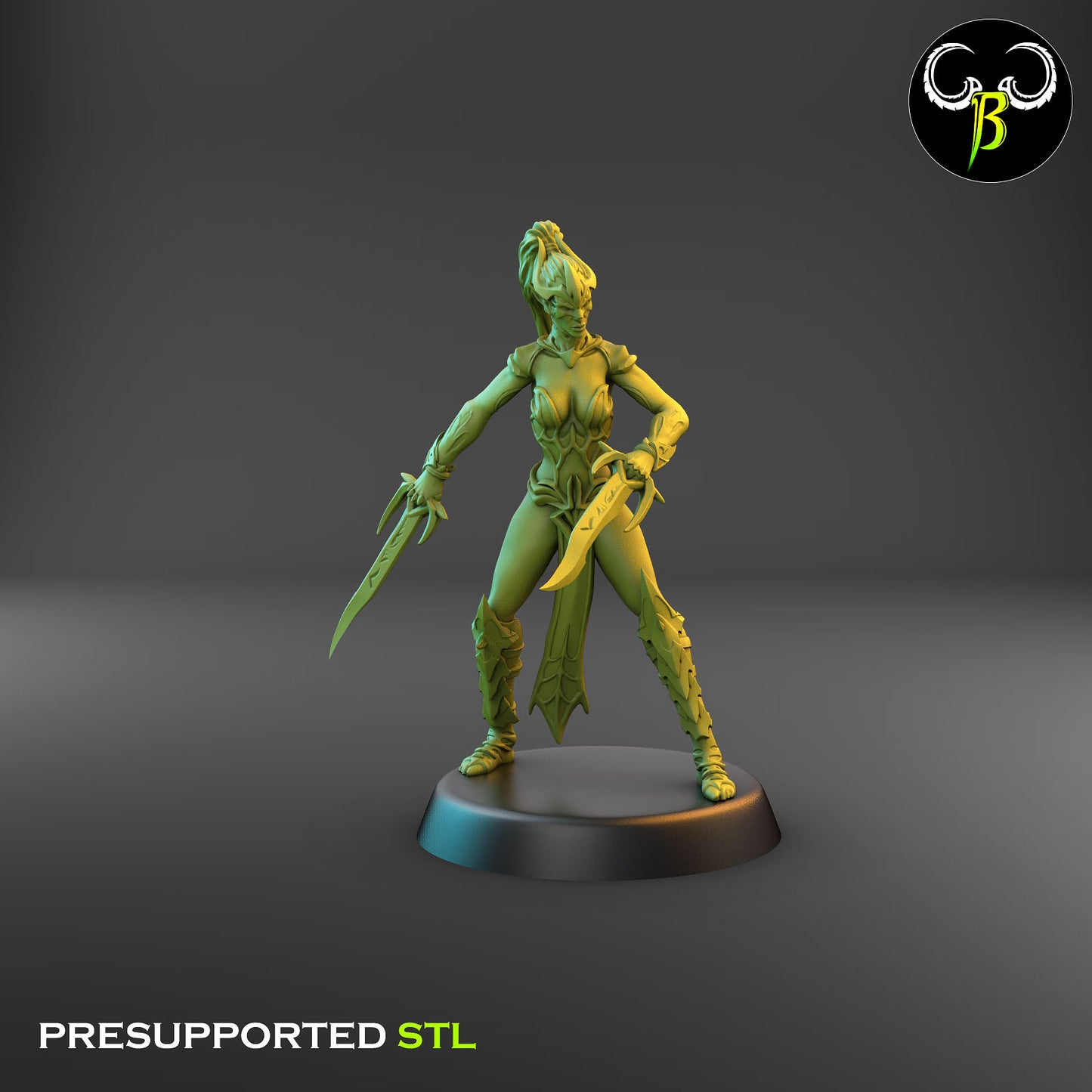 Dark Elf Female Cultist of the Web 1