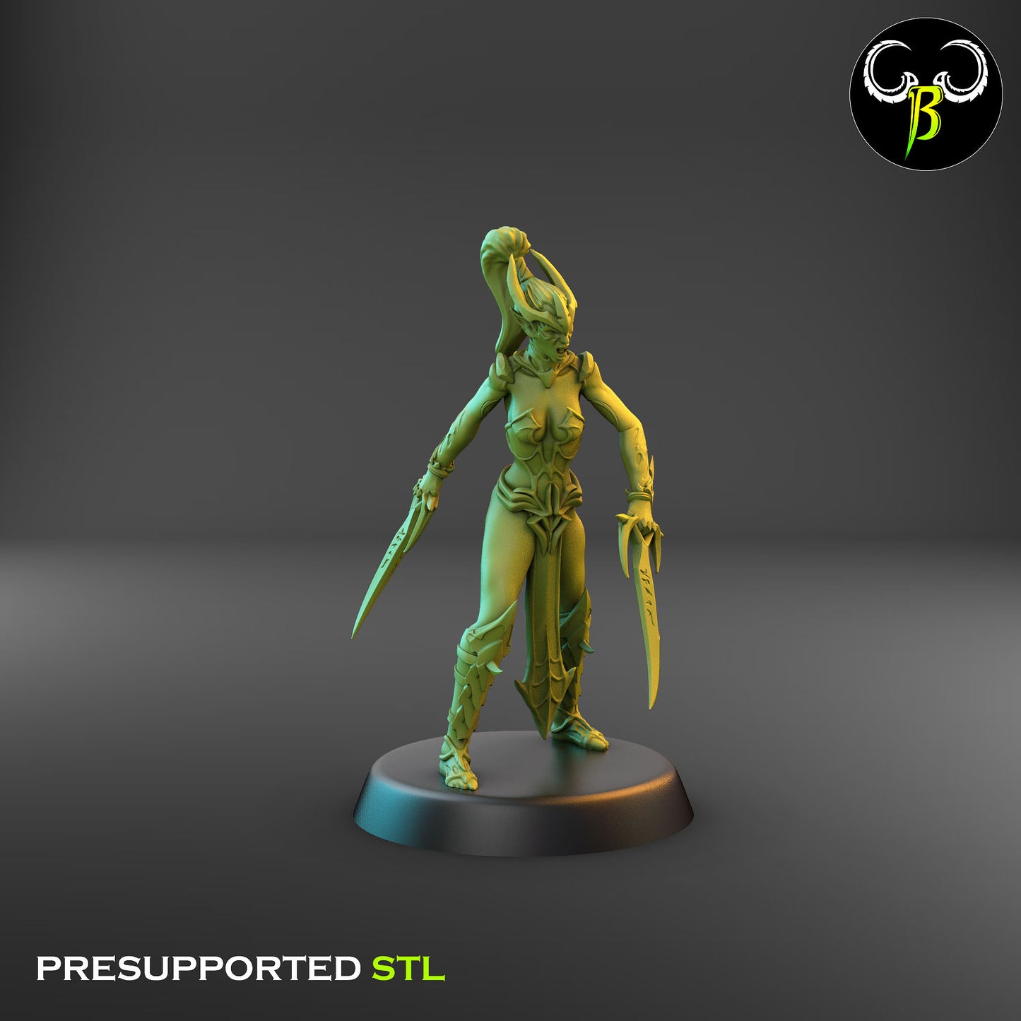 Dark Elf Female Cultist of the Web 2