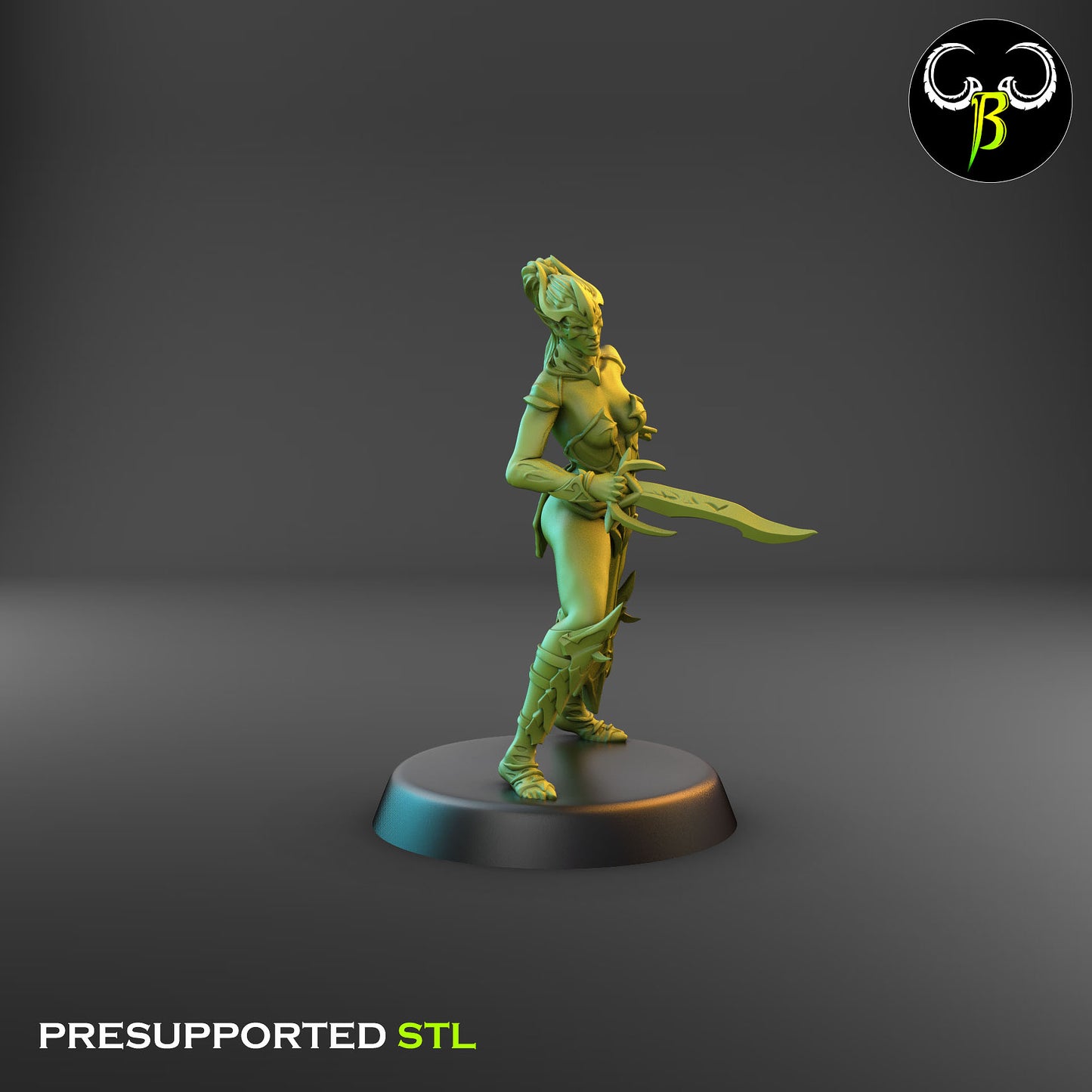 Dark Elf Female Cultist of the Web 8
