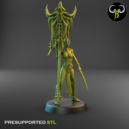 Dark Elf Female Cultist of the Web Bundle