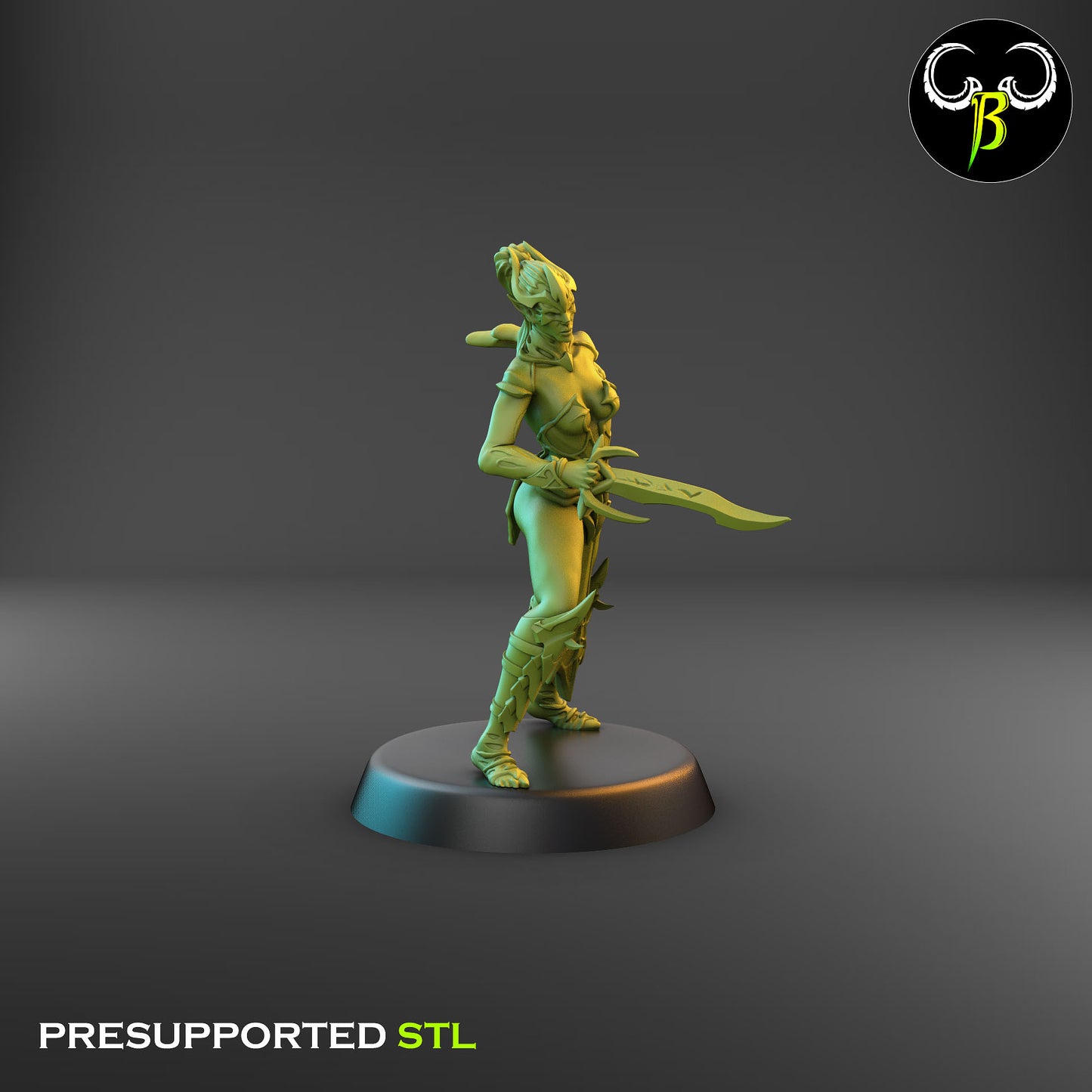 Dark Elf Female Cultist of the Web 8
