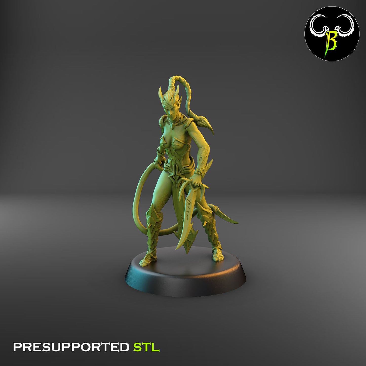 Dark Elf Female whip Cultist of the Web Bundle