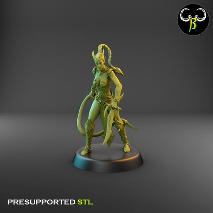 Dark Elf Female whip Cultist of the Web Bundle