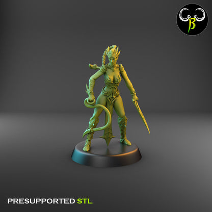 Dark Elf Female whip Cultist of the Web Bundle