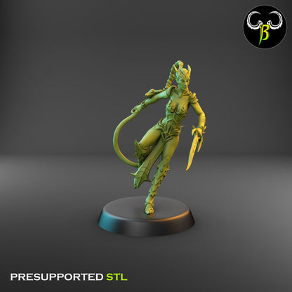 Dark Elf Female whip Cultist of the Web Bundle