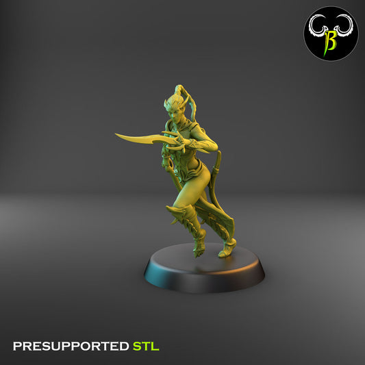 Dark Elf Female Whip Cultist of the Web 5