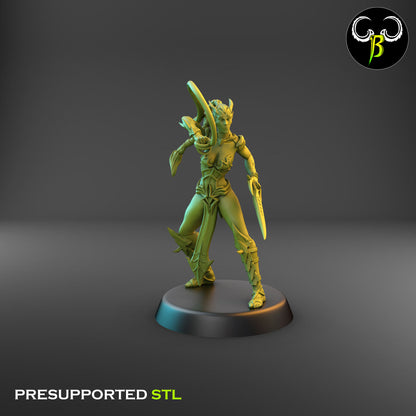 Dark Elf Female whip Cultist of the Web Bundle