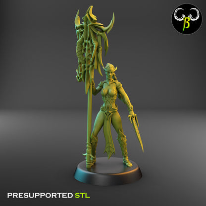 Dark Elf Female whip Cultist of the Web Bundle