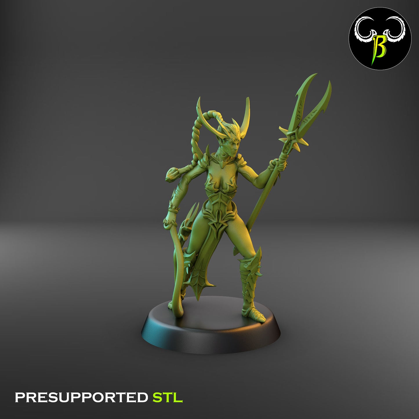 Dark Elf Female whip Cultist of the Web Bundle