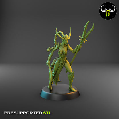Dark Elf Female whip Cultist of the Web Bundle