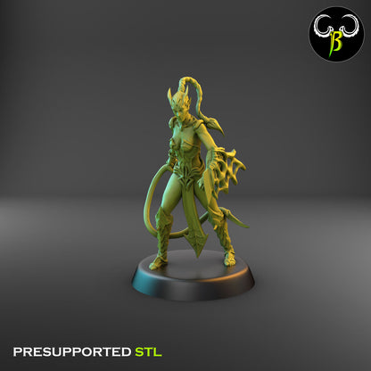 Dark Elf Female whip Cultist of the Web Bundle