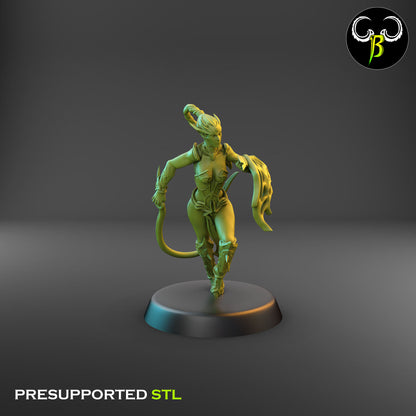 Dark Elf Female whip Cultist of the Web Bundle