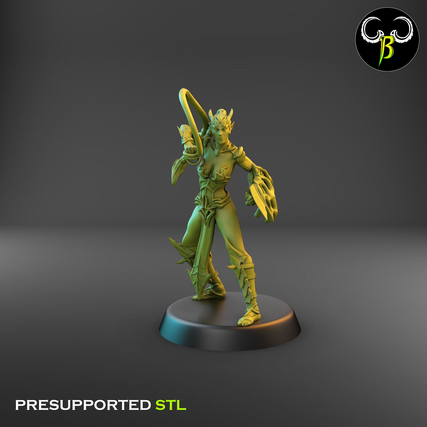 Dark Elf Female whip Cultist of the Web Bundle