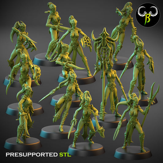 Dark Elf Female Cultist of the Web Bundle