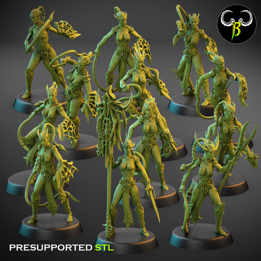 Dark Elf Female whip Cultist of the Web Bundle