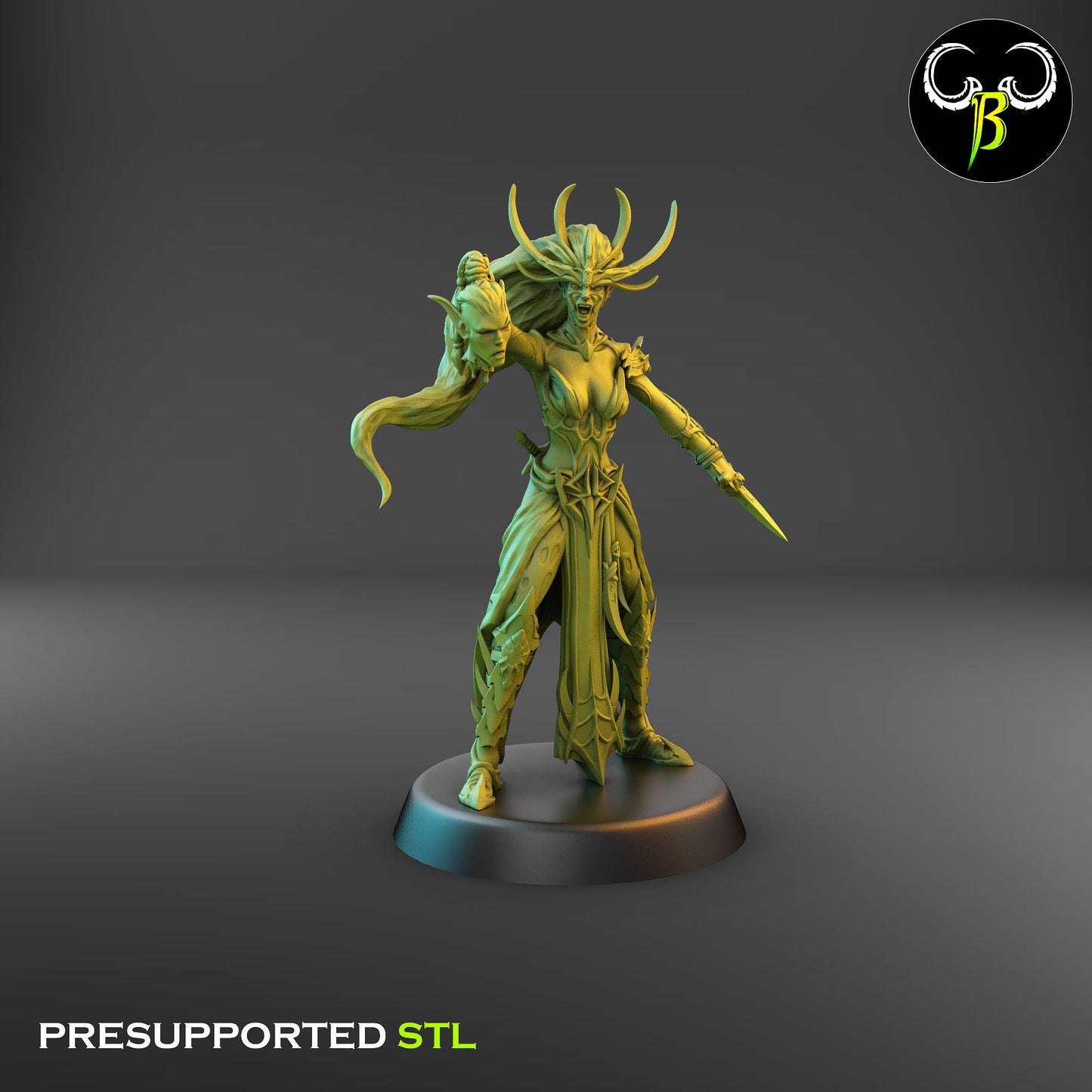 Dark Elf High Devout, Head of the Cult of Eight Bundle