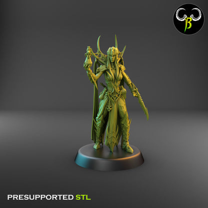 Dark Elf High Devout, Head of the Cult of Eight Bundle