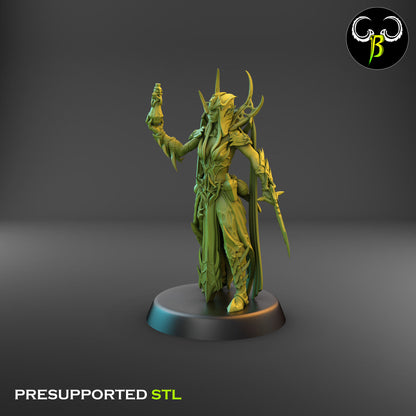 Dark Elf High Devout, Head of the Cult of Eight - Alchemist
