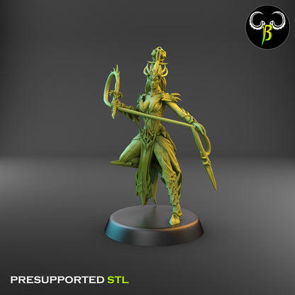 Dark Elf High Devout, Head of the Cult of Eight - Matron of the Whip