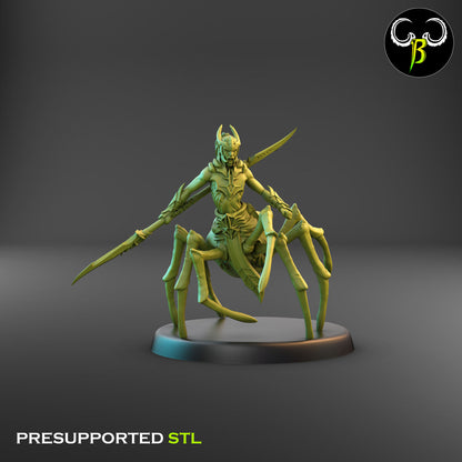Drider Warrior - Melee Bundle