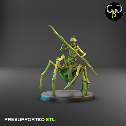 Drider Warrior - Melee Bundle