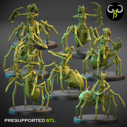 Drider Warrior - Bow Bundle